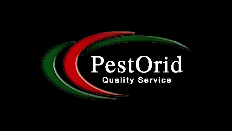 Pest Control Mississauga: Expert Solutions for a Pest-Free Environment