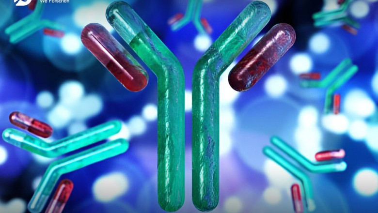 Custom Antibody Market With Complete SWOT Analysis and Forecast