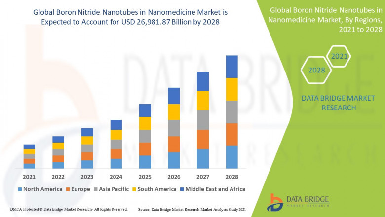 Boron Nitride Nanotubes in Nanomedicine Market Size, Share, Trends, Demand, Growth and Competitive Analysis