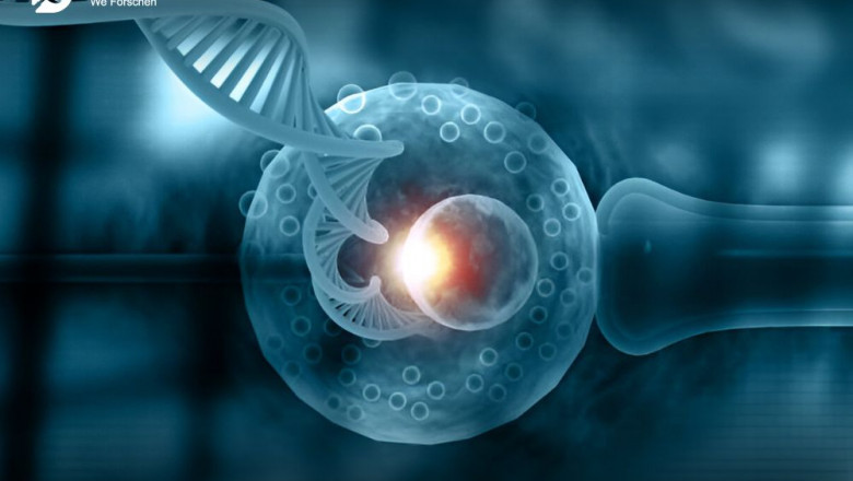 Synthetic Biology Market Expected to Witness High Growth over the Forecast