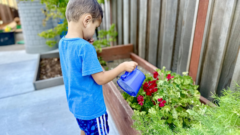 Montessori Preschool Daycare California: Nurturing Early Learning for Kids