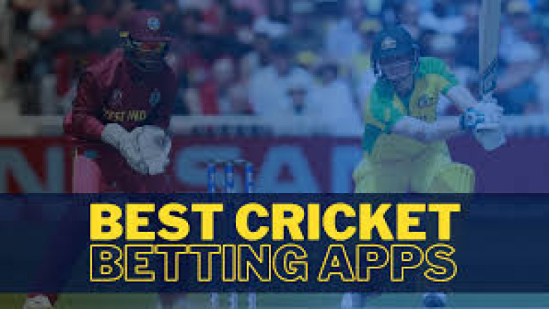 How to Bet Smart: Finding the Best Cricket Betting Site in India