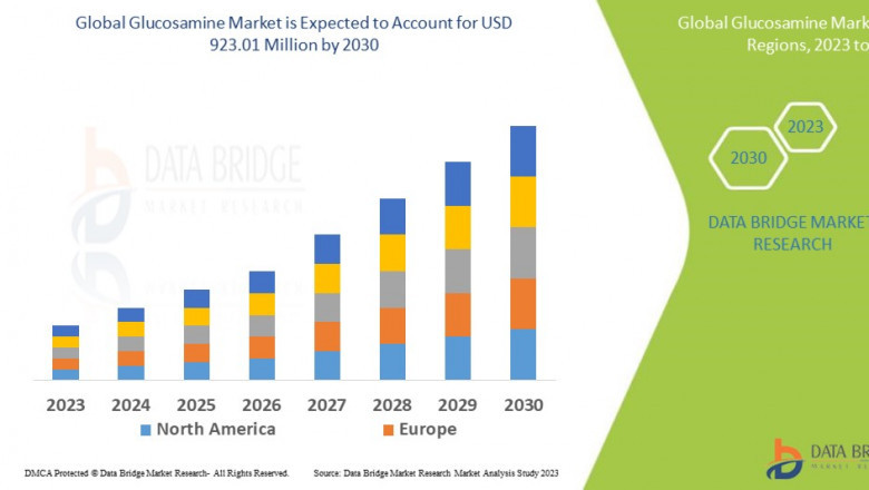 Glucosamine Market Size, Share, Trends, Key Drivers, Demand and Opportunity Analysis