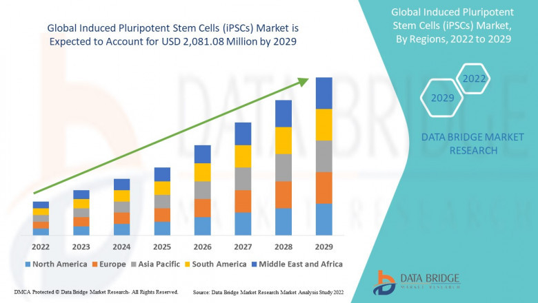 Induced Pluripotent Stem Cells Market Size, Share, Trends, Key Drivers, Growth and Opportunity