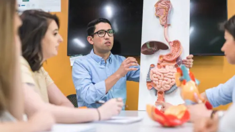 How a Level 3 Diploma in Anatomy and Physiology Can Boost Your Career