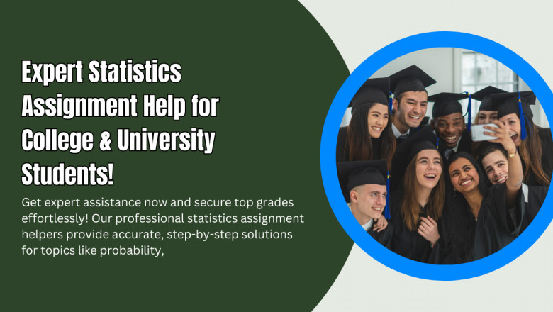 Expert Statistics Assignment Help for College and University Students!