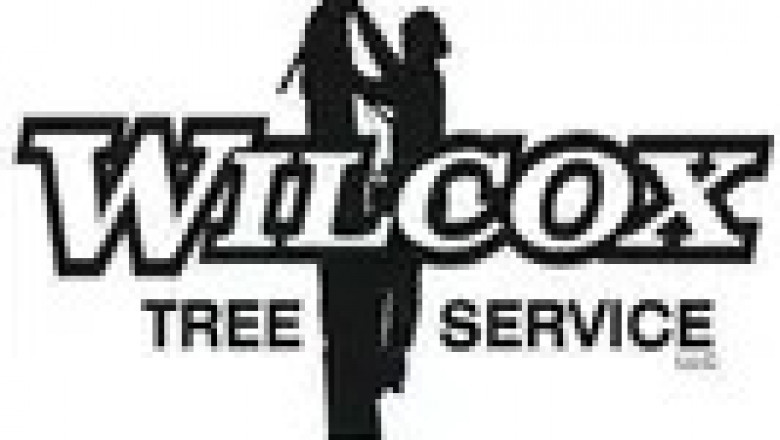 Expert Land Clearing Services: Why You Need Professional Help