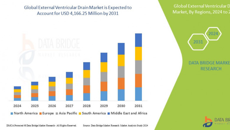 External Ventricular Drain Market: Insights and Growth Opportunities 2024–2031