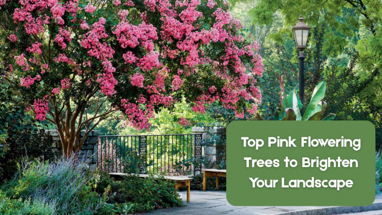 Top Pink Flowering Trees to Brighten Your Landscape