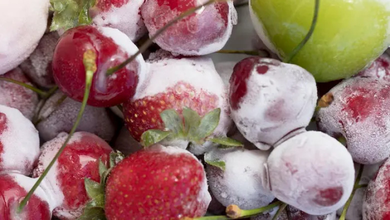 El Auge del Mercado de Frutas y Verduras Congeladas: Tendencias y Perspectivas para 2025-2034