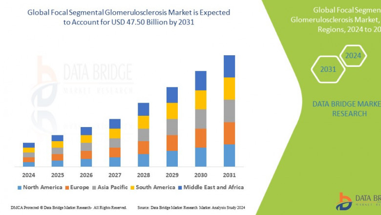 Focal Segmental Glomerulosclerosis Market: Insights, Key Players, and Growth Analysis 2024 –2031