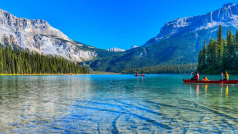 A Comprehensive Guide to Visas for Working in Canada: Your Pathway to Adventure and Work