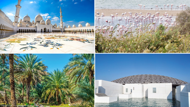 Exploring Abu Dhabi: Top Things to Do in the Capital of UAE