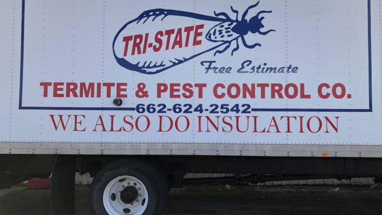 How to Identify and Prevent Bed Bugs in Cleveland: A Complete Guide
