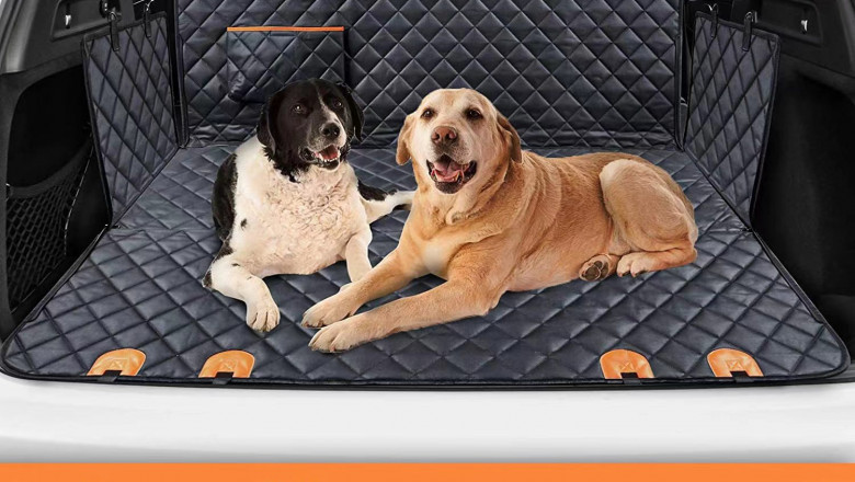 Pamper Your Pets with Style – Shop at House of Bachwaa, Your Go-To Pet Accessories Online Shop