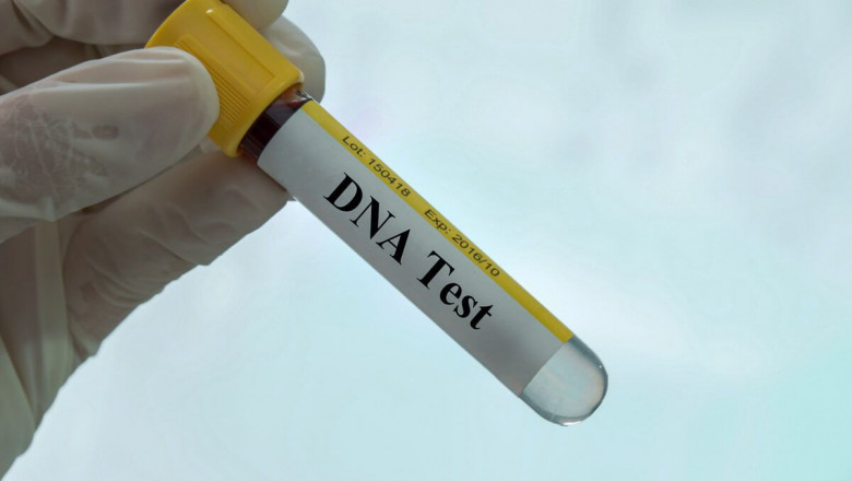 Unlocking Your Ancestry: What DNA Tests Can Tell You About Your Family History