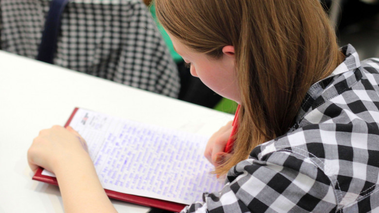 Top Reasons Why Students Seek Programming Assignment Help for Complex Problems