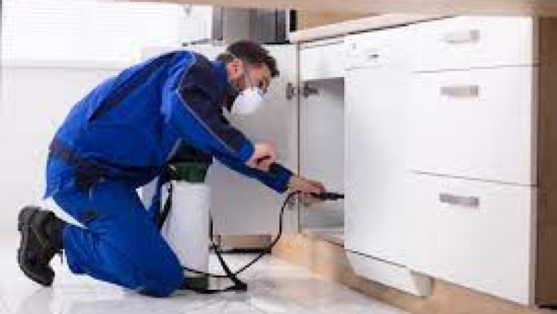 Pest Control Services in Melbourne: Keeping Your Property Safe and Pest-Free