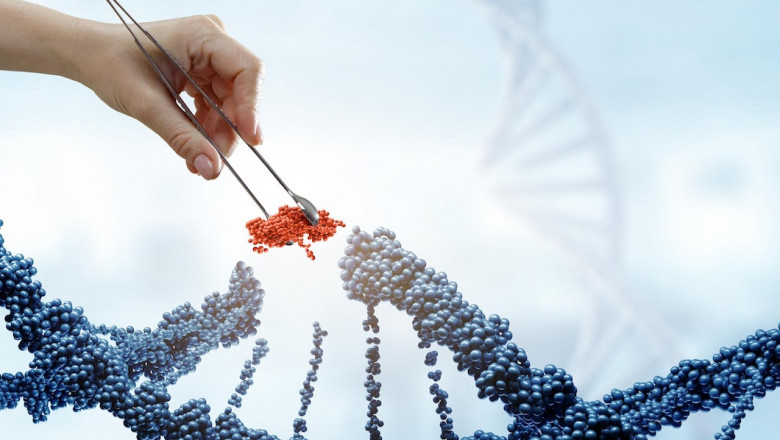 Western Blotting Protein Signals and Band Clarity