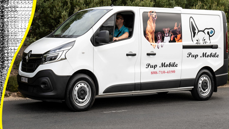 Fast and Safe Pet Emergency Transport Service in St. Petersburg, FL