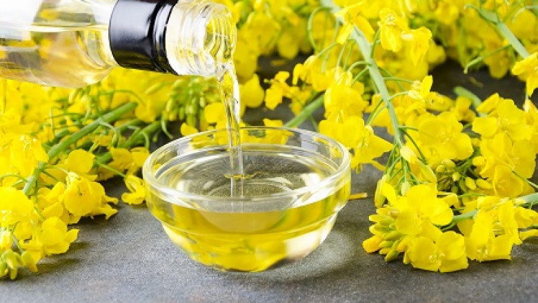Canola Oil Manufacturing Plant Cost 2025: Detailed Project Report, Raw Materials and Unit Setup