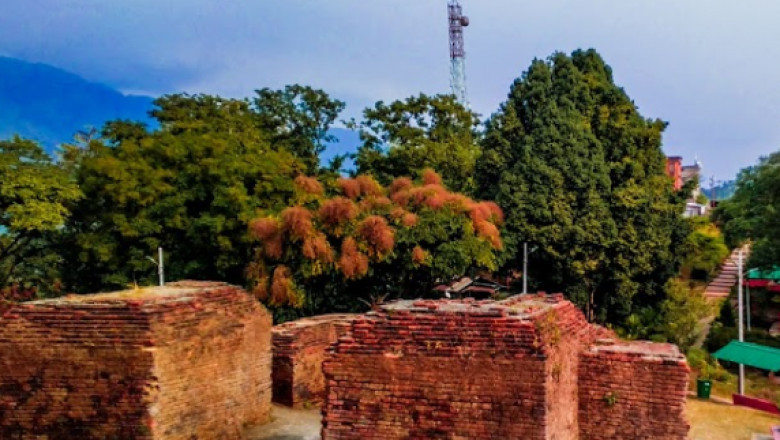 Itanagar Zoo: A Serene Wildlife Experience in Arunachal Pradesh