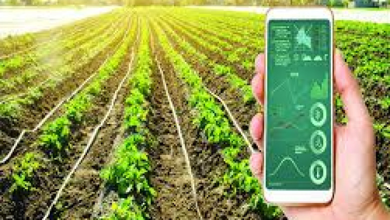 Precision Farming Market to Soar with IoT Sensor Integration