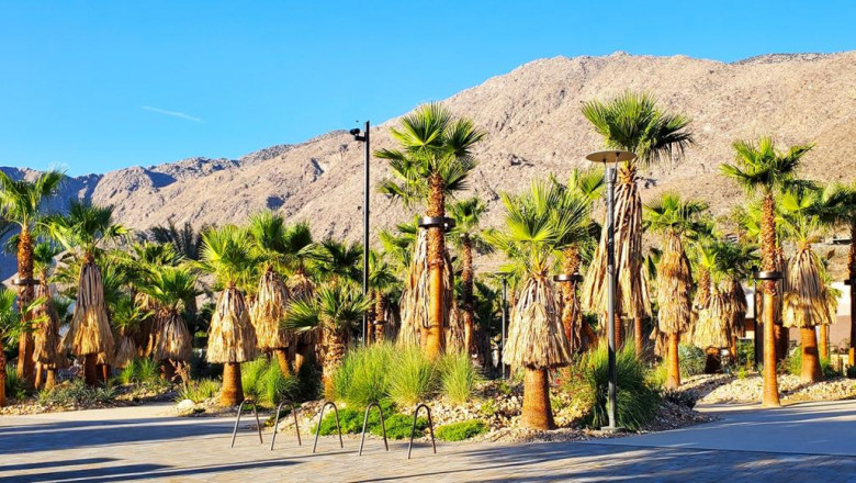 Ways to Make Your Palm Springs Party Bus Trip Fun and Memorable