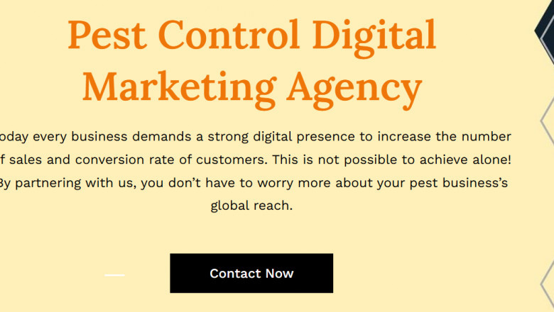How Digital Marketing is Transforming the Pet Control Industry