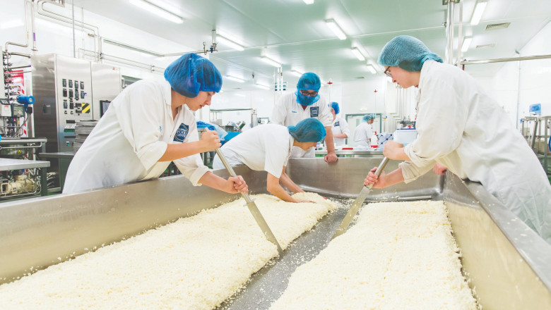 Cheese Manufacturing Plant Report 2025: Comprehensive Business Plan and Machinery Requirements