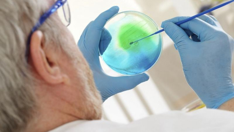 Pyrogen Testing Market to Soar with Automated Endotoxin Detection