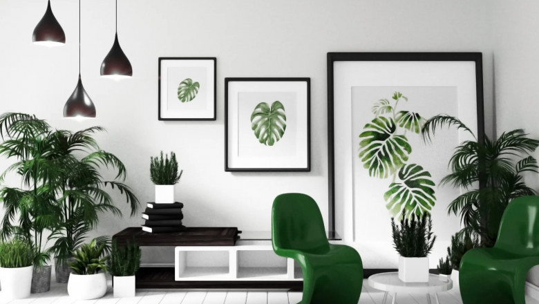 The Modern Wall: Stunning Modern Wall Framing Services