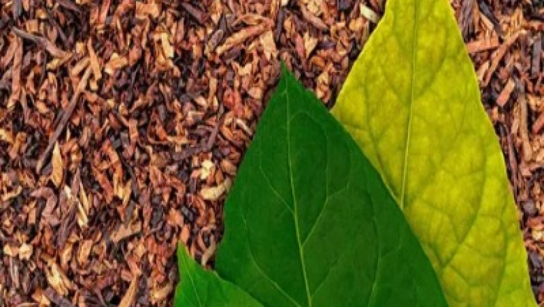 Organic Tobacco Market Is Estimated for High Growth Owing to Precision Farming