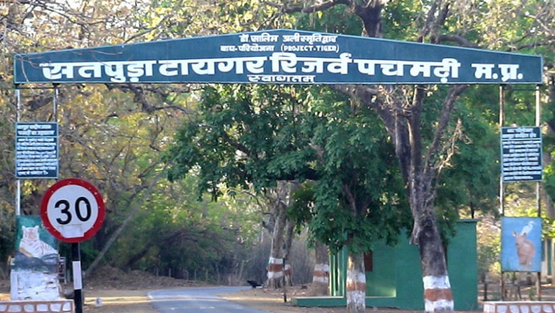 Travel Tips for Satpura National Park During Off-Tourist Season