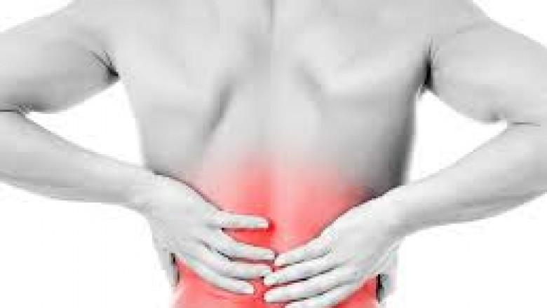 Lower Back Muscle Injuries: Treatment Guide