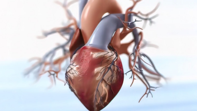 Acute Coronary Syndrome Market Will Grow Rapidly on Minimally Invasive Diagnostics