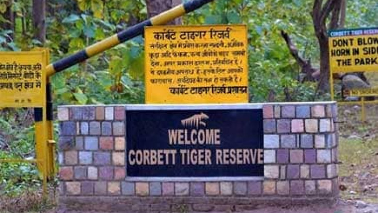 Best Zone in Jim Corbett National Park