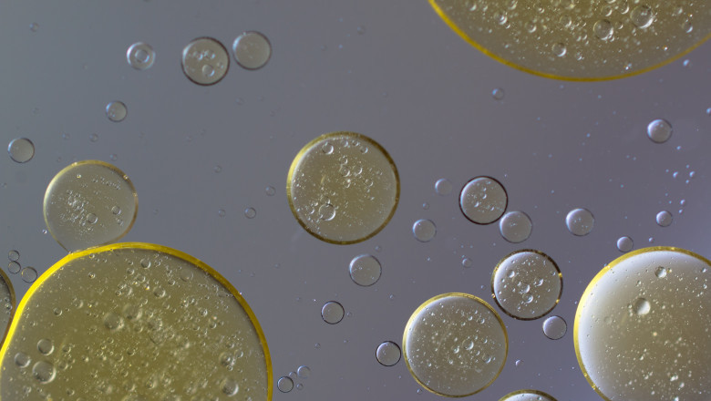 Single Cell Oil Market to Grow Fast on Omega-3 Demand
