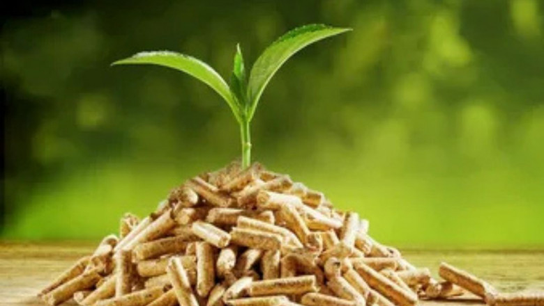 Discover the Power of Biomass Wood Pellets – Clean, Profitable, Renewable