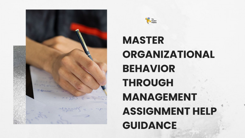Explore Marketing Strategies via Expert Management Assignment Help