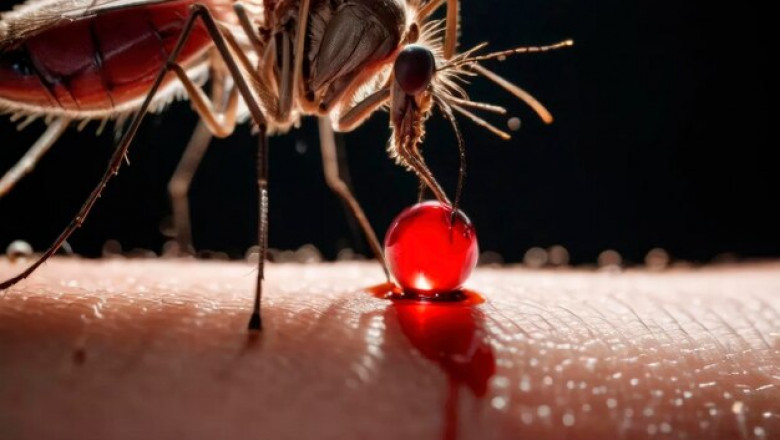 P. vivax Malaria: Market Dynamics, Treatment Innovations, and Commercial Prospects