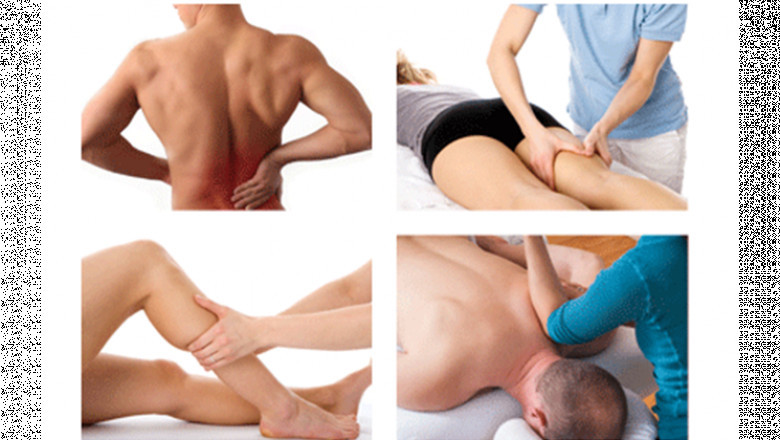 Strengthen Muscles with a Physiotherapist’s Help