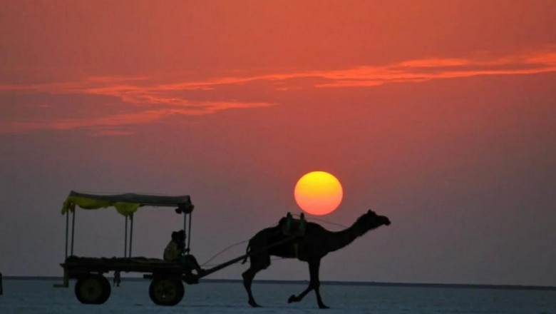 Explore Gujarat’s Heritage with Amazing Bhuj Tour Packages