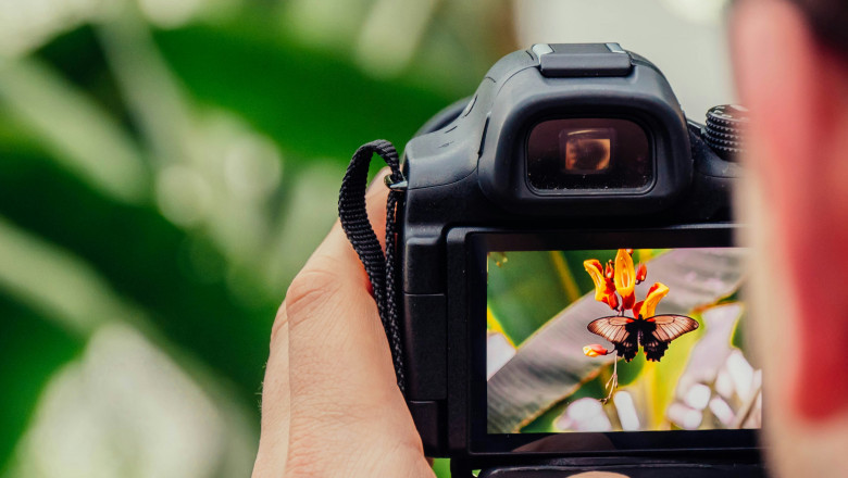 The Silent Story: Exploring Emotion Through Minimalist Photography