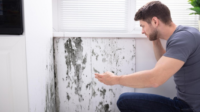 Water Damage Restoration and Mold Damage Restoration: Tips to Bring Your Home Back to Life