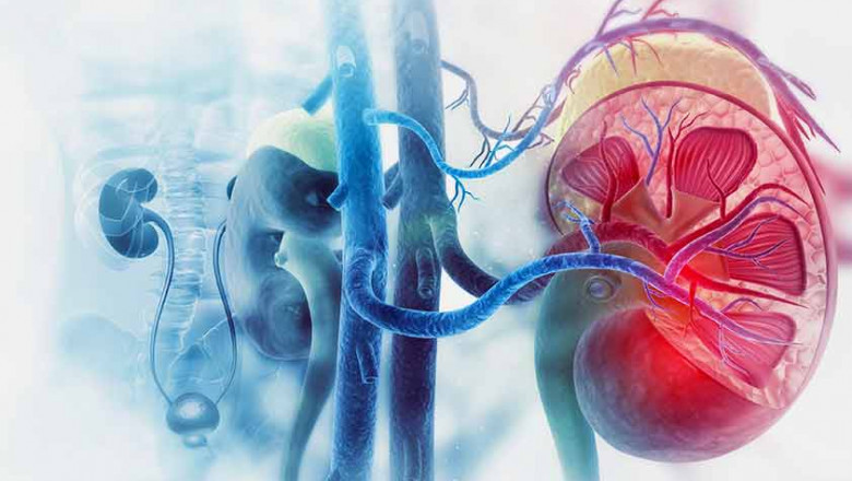 Kidney Transplant Rejection Market will grow at highest pace owing to biomarker-driven therapies