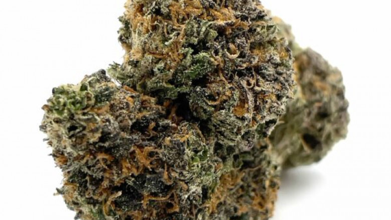 The Ultimate FAQ About Orleans &amp; Nepean Weed Dispensaries Near You