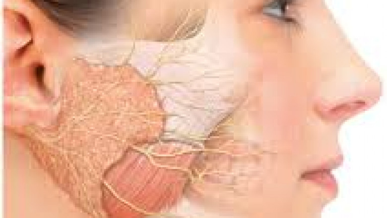 Global Sialorrhea Treatment Market Growth Outlook and Forecast
