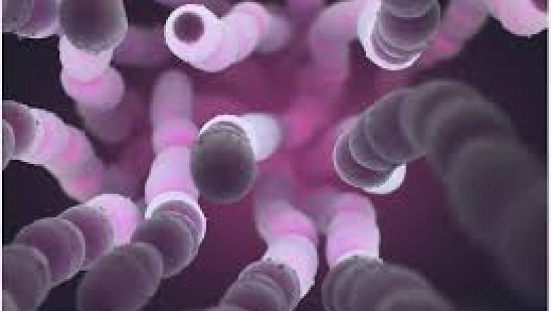 Insights into Pneumonia, Pneumococcal Therapeutic Market Growth