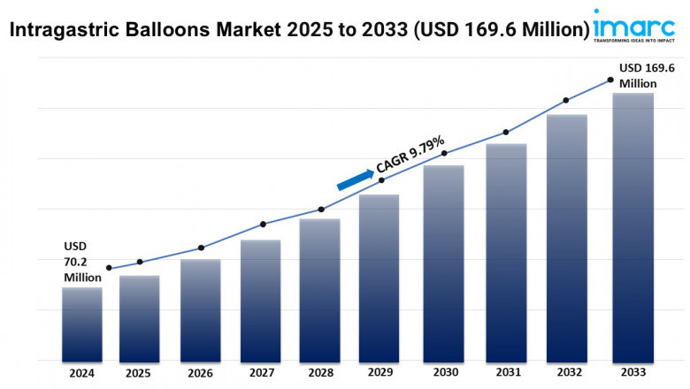 Intragastric Balloons Market Share, Growth, and Forecast 2025-2033